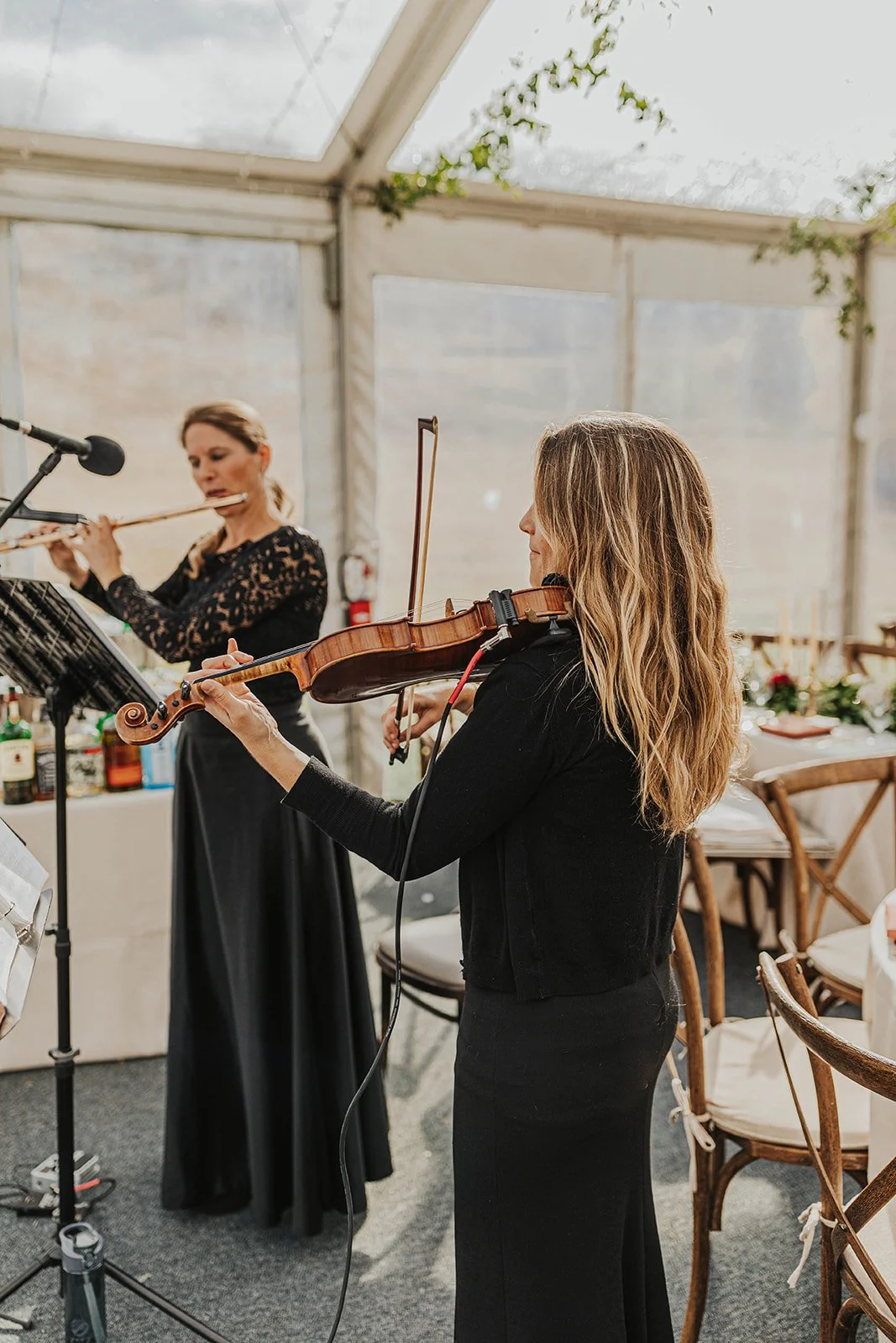 Flute violin online